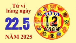 Tử vi hôm nay, xem tử vi 12 con giáp hôm nay ngày 22/5/2025: Tuổi Thìn thu nhập đáng tin