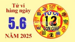 Tử vi hôm nay, xem tử vi 12 con giáp hôm nay ngày 5/6/2025: Tuổi Dậu thu nhập đủ chi tiêu